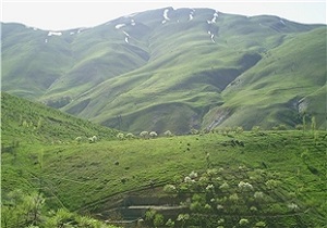 پاک سازی زباله های پارک جنگلی آبیدرسنندج