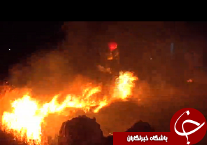 آتش سوزی در باغستان قزوین