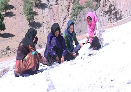 چشمه شور نازی نان سر سفره اهالی روستا نازی گذاشت