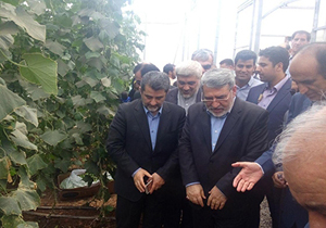 بهره برداری از مجتمع گلخانه‌ای خرم آباد با حضور وزیر کشور