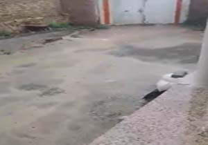 نمایی از آسمان بارانی در رباط + فیلم