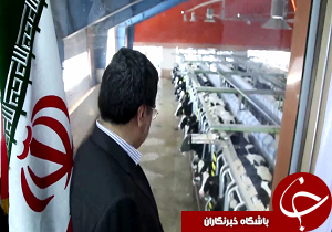 بازدید استاندار از واحد پرورش گاوداری شیری دربویین زهرا