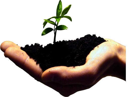 از خطر بیماری های ژنتیکی تا جوان معتادی که کار آفرین برتر شد+ فیلم