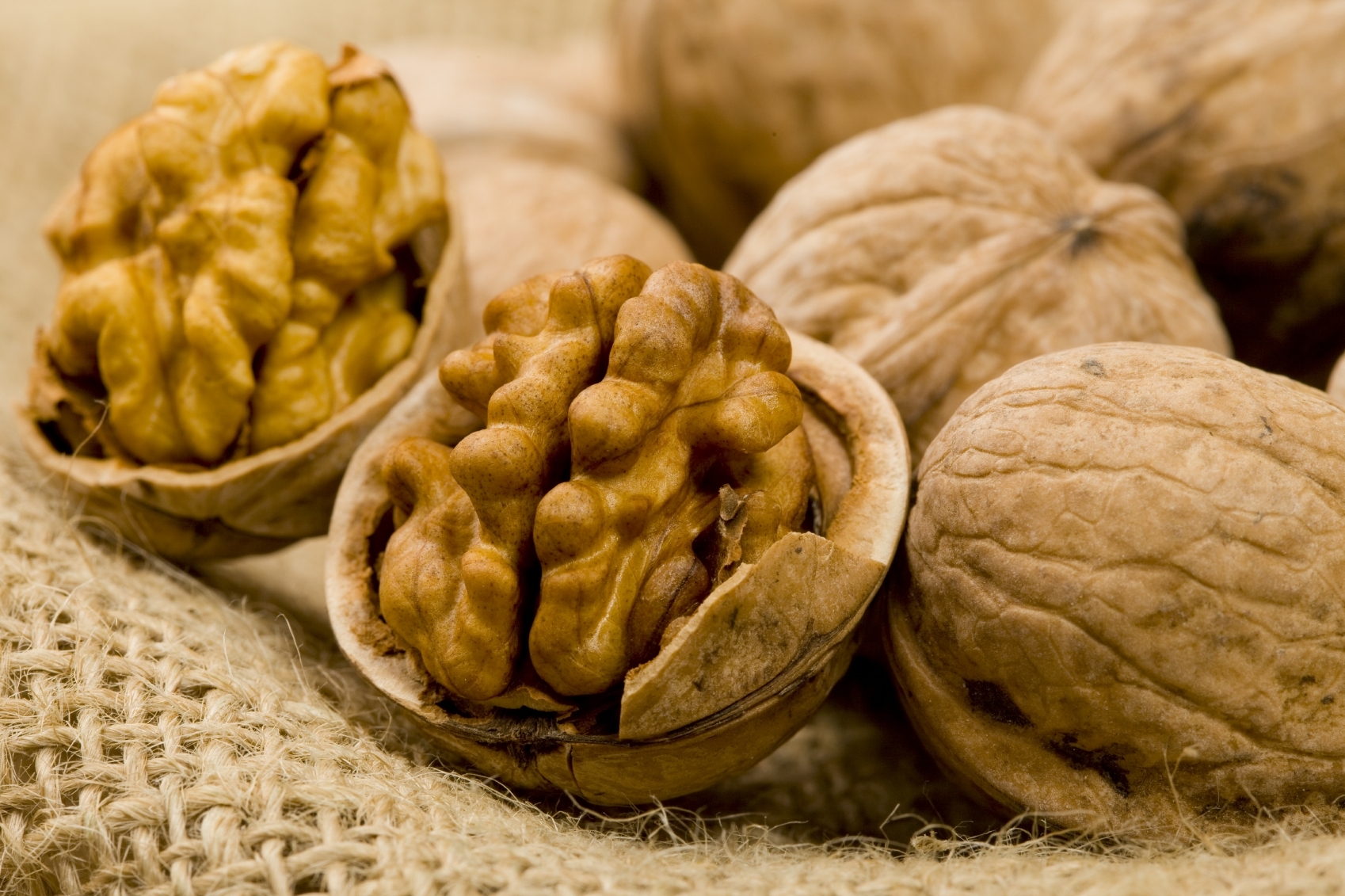 با افزایش سن این قدرت در خانم ها کاهش می یابد/رابطه مصرف گردو با طول عمر/توت فرنگی مصرف کنید تا آلزایمر نگیرید/با مصرف این چای بدن خود را بیمه کنید