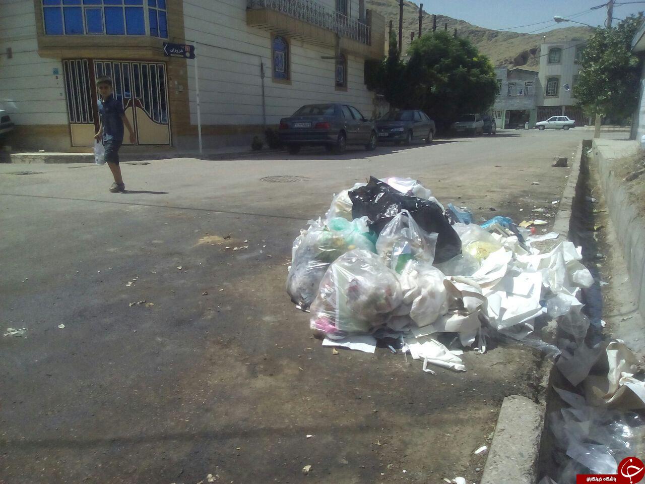 انباشت زباله در معابر گلدشت + تصاویر