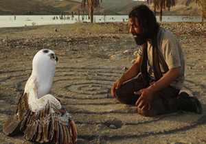 رونمایی از خاکستر نشین توسط انجمن فیلم کوتاه شیراز