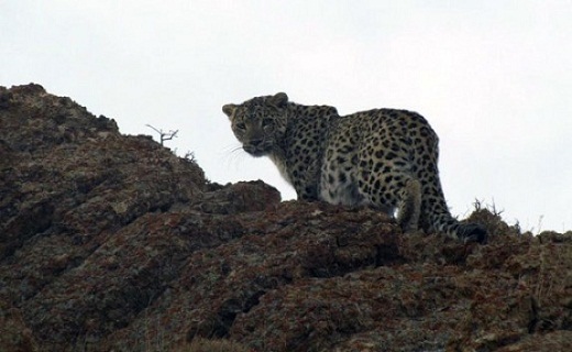 نگاهی به پر بیننده ترین اخبار روز گذشته در سمنان
