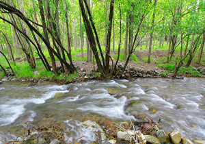 گیشیگان روستای زیبا در دل طبیعتی سرسبز