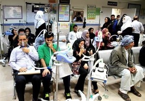 هرس کردن گیاه کنوکارپوس راه حل کاهش آلرژی