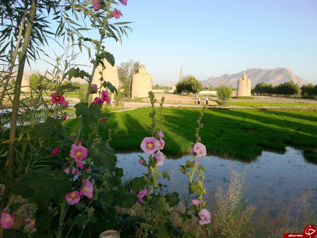 برج&zwnj;های تاریخی کبوترخانه در روستای &laquo;ولاشان&raquo; + تصاویر