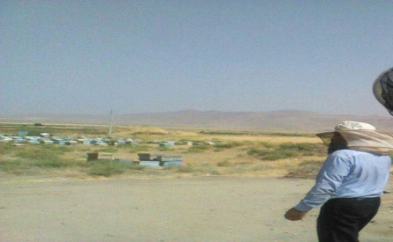 لبخندی به شیرینی عسل