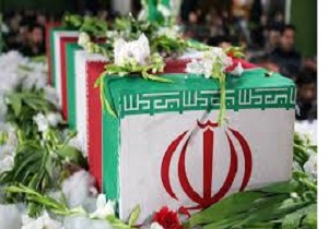 هرمزگان میزبان 8 لاله گمنام