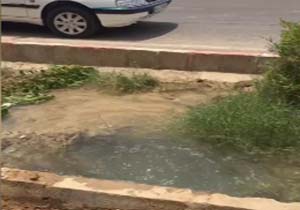 هدررفت آب‌ شرب شهرک بعثت در بحران کم‌آبی + فیلم