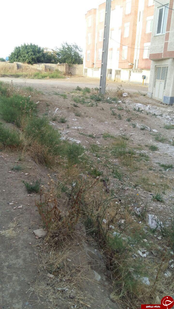 چهره ناخوشایند محوطه مسکن مهر در بیله&zwnj;سوار + تصاویر