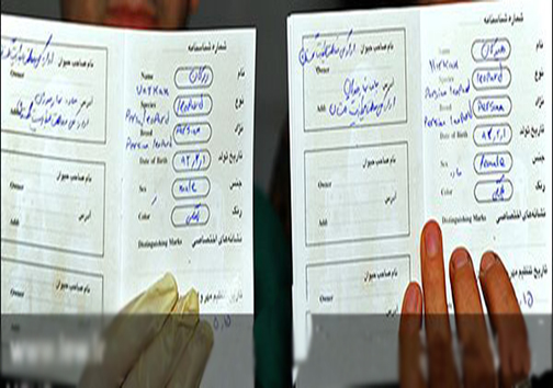 تراژدی مرگ هیرکان خبر از رهاسازی ورکان برادر بزرگتر در آینده ایی نزدیک است
