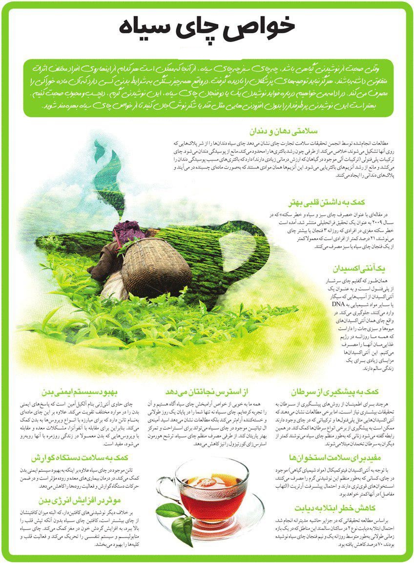 خواص چای سبز+اینفوگرافیک