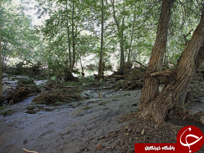 9 کشته به دنبال جاری شدن سیل در آریزونا+ تصاویر