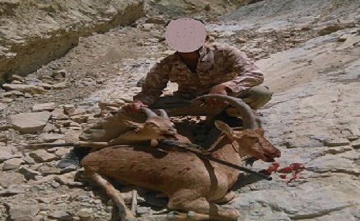 عکس یادگاری شکارچی متخلف را گرفتار کرد + تصویر