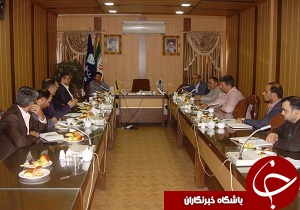 تاکید بر رفع موانع در کنترل تردد دام قاچاق