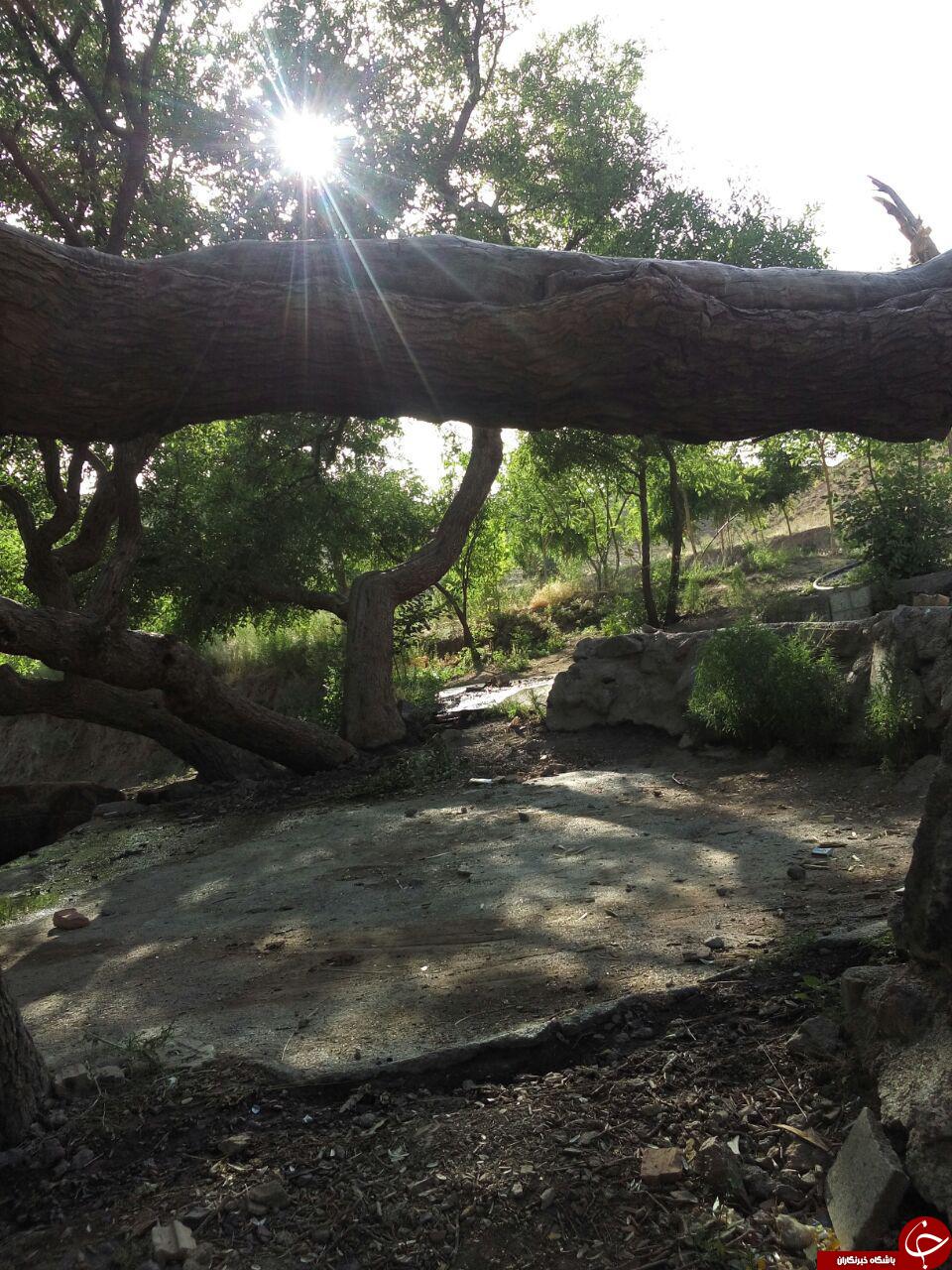 منطقه تکه در قاب تصویر