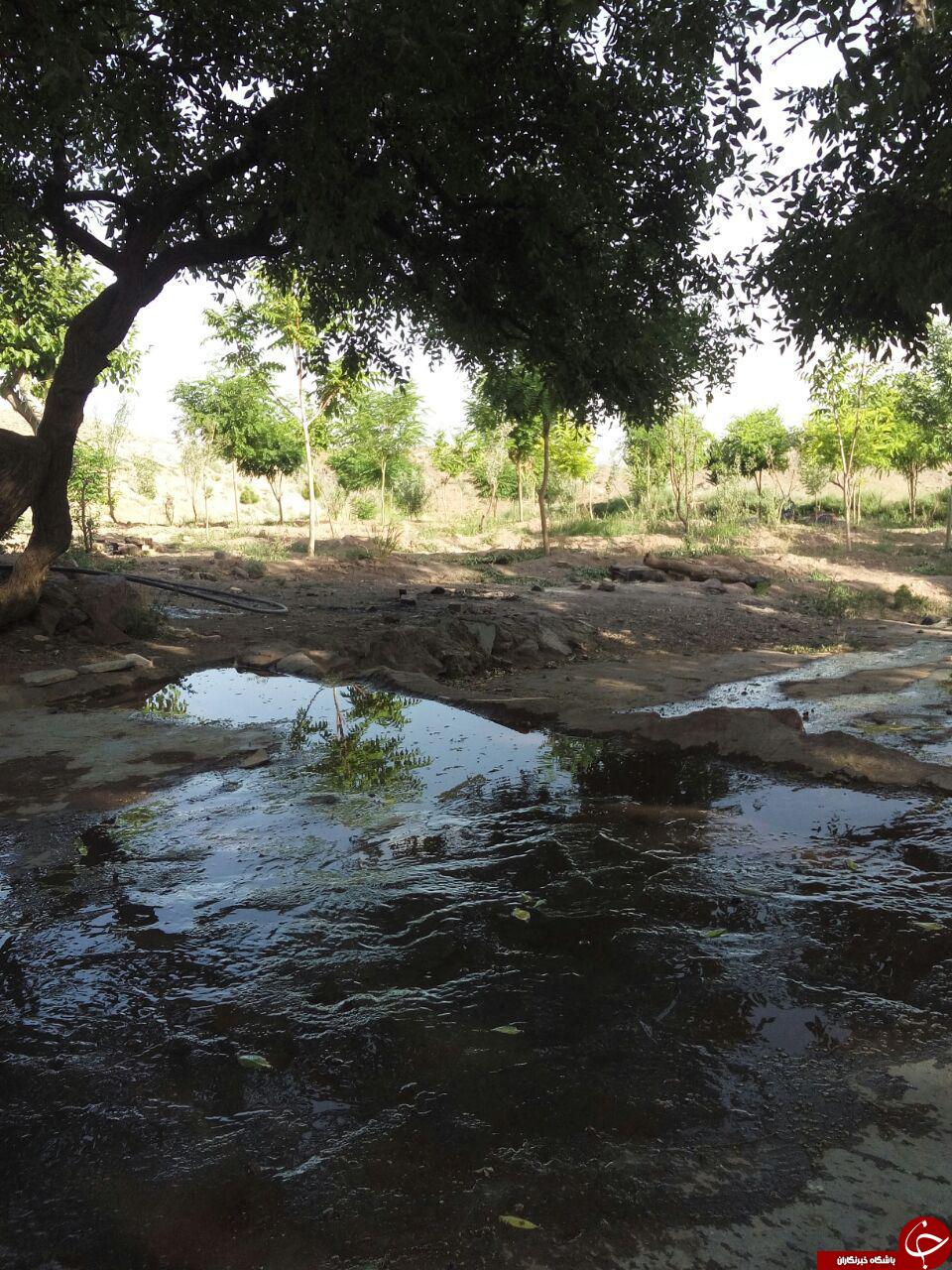 منطقه تکه در قاب تصویر