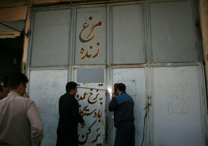 پلمب یک واحد عرضه مرغ گرم در دورود