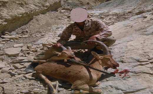 نگاهی به پر بیننده ترین اخبار روز گذشته در سمنان