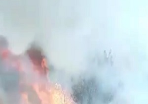 آتش سوزی در نخلستان بهبهان + فیلم