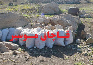 کشف ۹۰۰ کیلوگرم موسیر و انواع گیاهان مرتعی قاچاق در لرستان