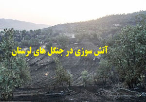 شناسایی عاملان حریق در جنگل های کوهدشت