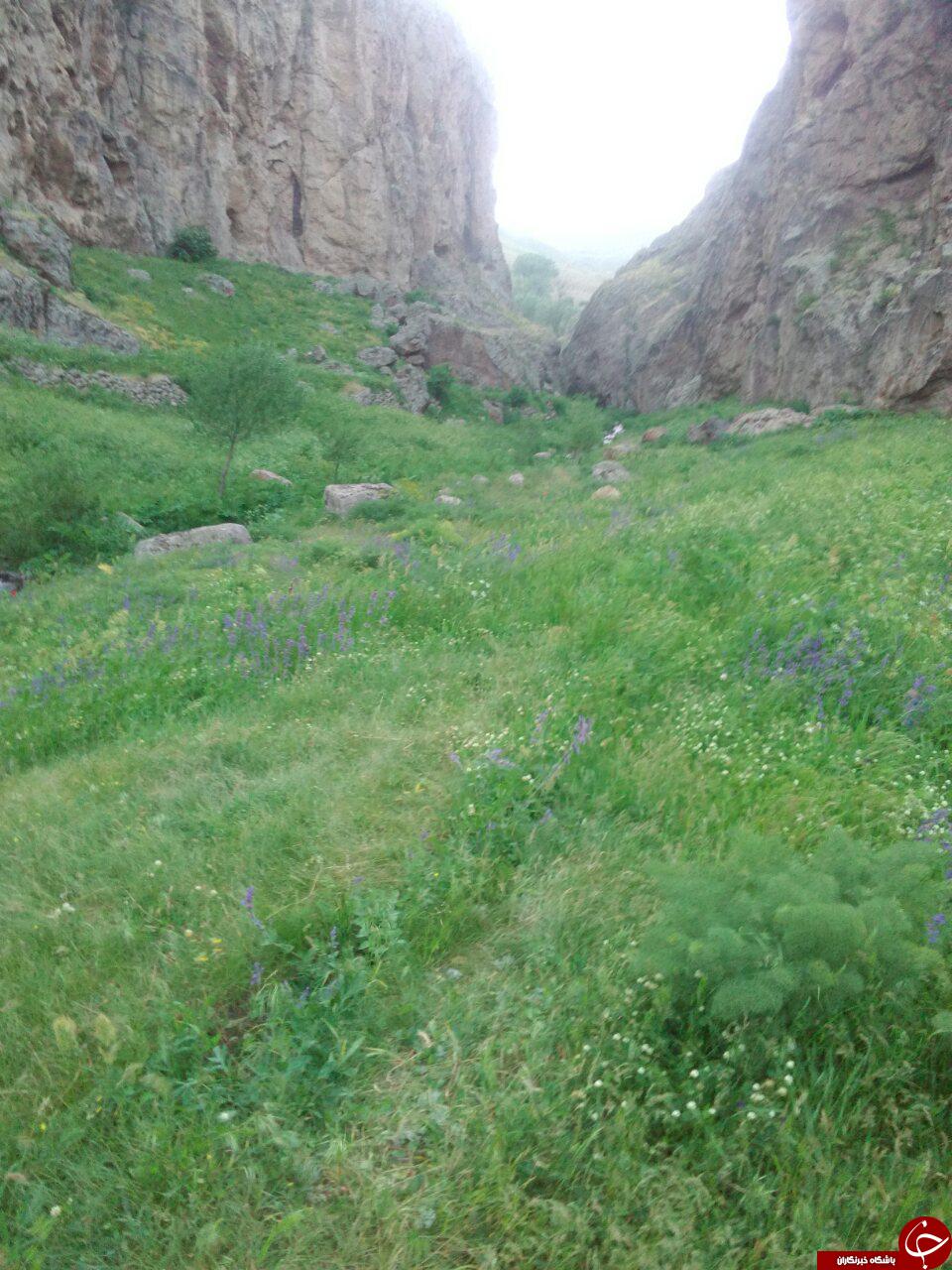 منطقه سرسبز و بکر چمران + تصاویر