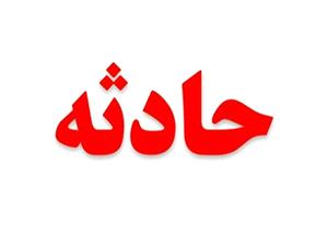 اقدام به موقع مادر و نجات جان کودک