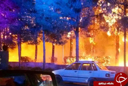 آتش سوزی گسترده در پارک توحید بیرجند+عکس