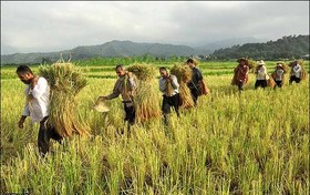 توسعه روستاهای استان در آینده نزدیک