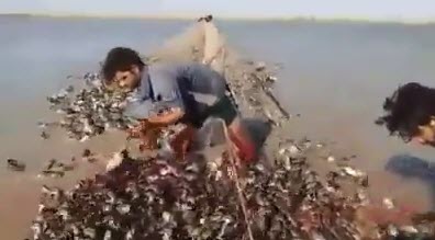 جلادانی که براحتی سر می&zwnj;برند!