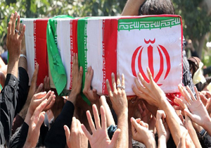 فارس میزبان ۲۳ پرستوی مهاجر