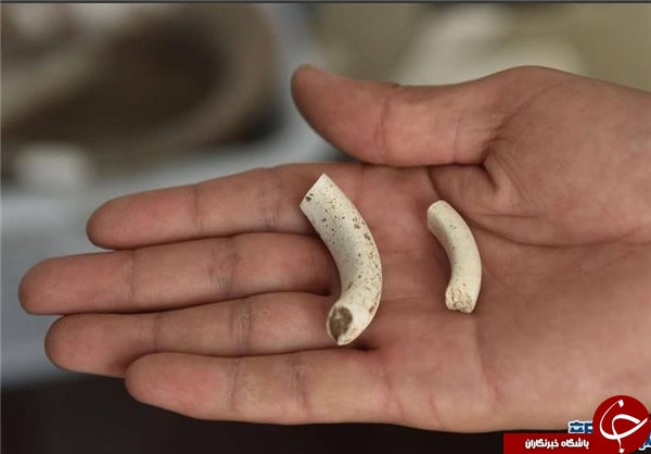 کشف آثار باستانی ۵ هزار ساله در چین+عکس