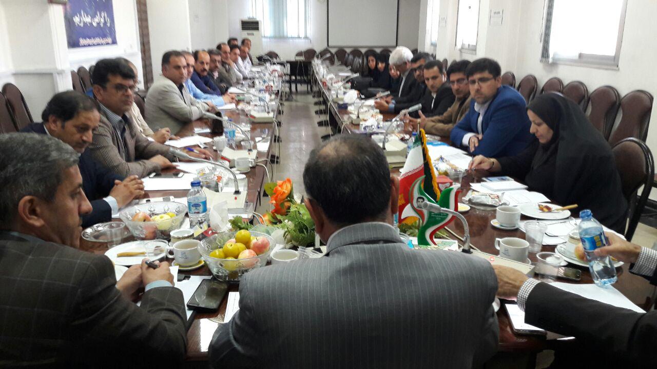 برنامه های متنوع صندوق کارآفرینی امید برای ایجاد شغل در کشور