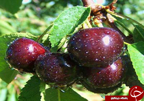 نگاهی گذرا به مهمترین رویداد&zwnj;های ۲ تیرماه &nbsp;در مازندران
