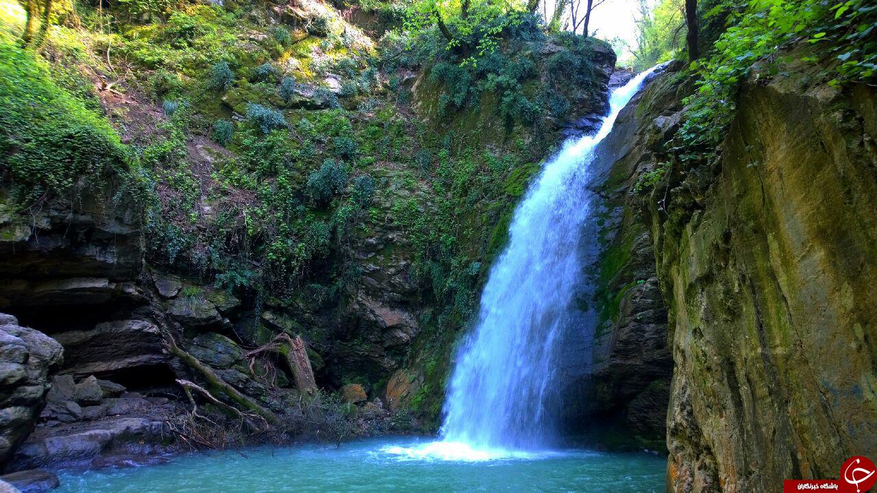 تصاویری از طبیعت زیبای جنگل &laquo;شیرآباد&raquo;