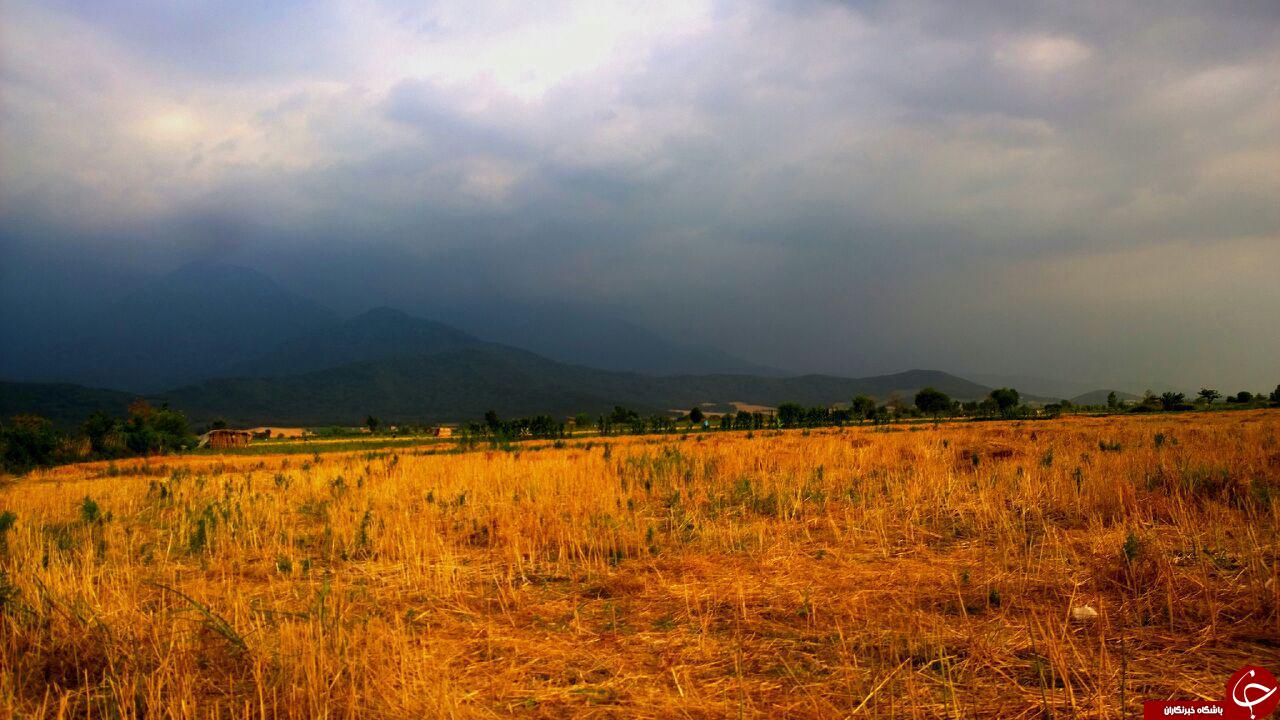 تصاویری از طبیعت زیبای جنگل &laquo;شیرآباد&raquo;