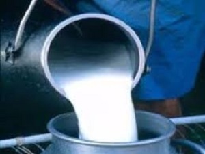 ممنوعیت عرضه لبنیات وشیرفله‌ای در کرمانشاه