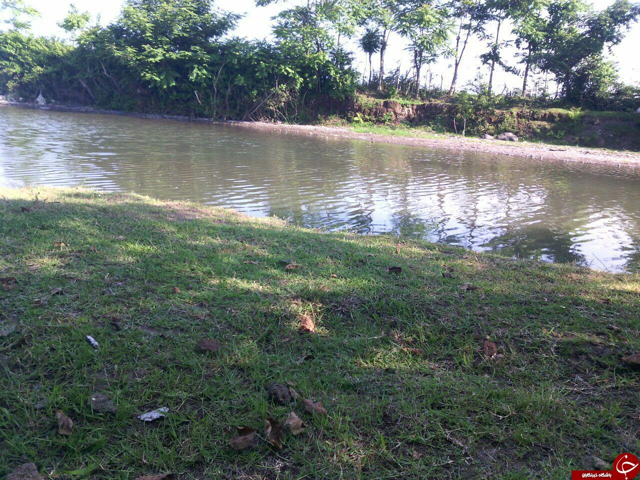 طبیعت بکر شیرآباد در قاب تصویر