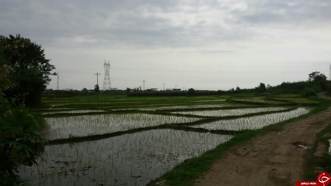 طبیعت بکر شیرآباد در قاب تصویر