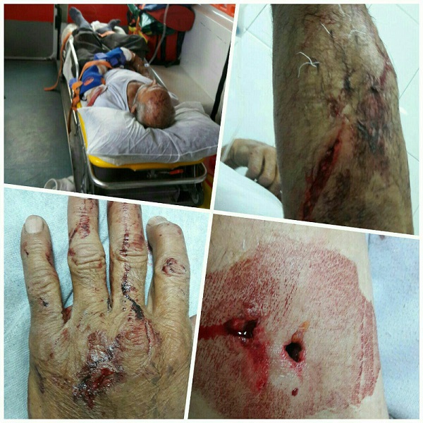 حمله یک قلاده پلنگ به پیرمردی در خلخال + تصویر