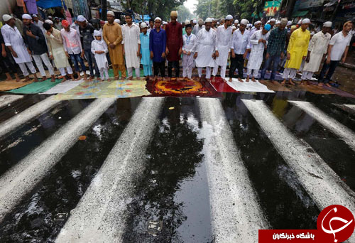 تصاویر روز: از فروش رتیلهای سرخ شده تا استقبال باکو از مسابقات فرمول یک تصاویر روز: از فروش رتیلهای سرخ شده تا استقبال باکو از مسابقات فرمول یک