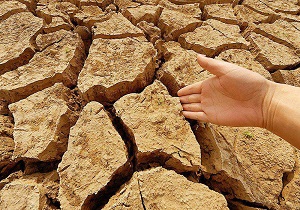 کاهش 50 درصدی بارش باران در شهر یزد