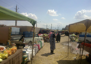 راه اندازی چهارشنبه بازار در بشاگرد