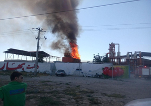آتش سوزی در کارخانه رب دشت بهار آشخانه+تصاویر