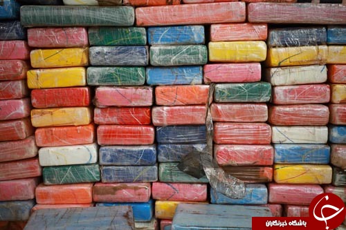 تصاویر روز: از نهنگ خوابیده کنار رود سن تا سخنرانی ترامپ با یک انبر تصاویر روز: از نهنگ خوابیده کنار رود سن تا سخنرانی ترامپ با یک انبر